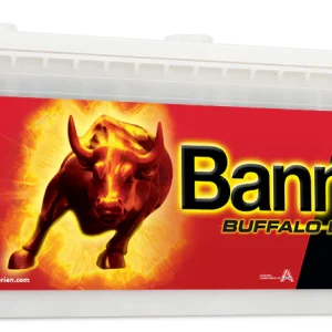 BUFFALO Bull SHD 12 Volt 180Ah