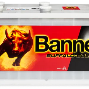 Banner Buffalo Bull 12v 180Ah