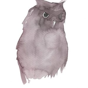 Grå Uggla A4