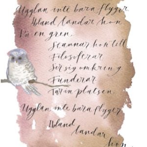 Ugglekort 6, Ugglan landar